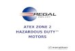 ATEX ZONE 2 HAZARDOUS DUTY™ MOTORS. Background ATEX = “Atmosphere Explosible” European Union (EU) Directive 94/9/EC Mandatory (by law) for covered equipment