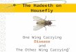 1/8 The Hadeeth on Housefly One Wing Carrying Disease and The Other Wing Carrying Cure