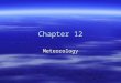 Chapter 12 Meteorology. Lesson 4 The Causes of Weather