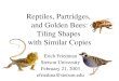 Reptiles, Partridges, and Golden Bees: Tiling Shapes with Similar Copies Erich Friedman Stetson University February 21, 2003 efriedma@stetson.edu