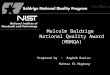 Malcolm Baldrige National Quality Award (MBNQA) Prepared by : Ragheb Bseiso Mo3taz El Moghany
