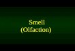 Smell (Olfaction). Smell is a chemical sense. You inhale something of whatever of whoever it is you smell. You smell something when molecules of a substance