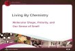 Living By Chemistry Molecular Shape, Polarity, and Our Sense of Smell