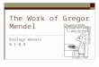 The Work of Gregor Mendel Biology Honors 8.1-8.3