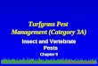 MSU Extension Pesticide Education Turfgrass Pest Management (Category 3A) Insect and Vertebrate Pests Chapter 9