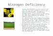 Nitrogen Deficiency Nitrogen (N) deficiency in plants can occur when woody material such as sawdust is added to the soil. Soil organisms will utilise any