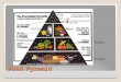 Food Pyramid Grains Vegetables Fruits DairyMeat Fat, Oil, Sweets