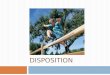 DISPOSITION. Dispositional Hearing  What is it?  Required whenever a petition for dependency or neglect has been sustained.  Purpose:  To determine