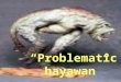 “Problematic hayawan”. MUSLIM SCIENTISTS Azlini binti Hj. Ismail Aimi Salwani binti Abdul Rahman Amirah binti Abdul Razak