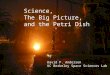 Science, The Big Picture, and the Petri Dish David P. Anderson UC Berkeley Space Sciences Lab