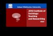 Adam Mickiewicz University  AMU Institute of Sociology: Teaching and Researching Click!