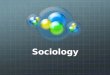 Sociology. What is sociology Study of human social behavior Study of the group rather than the individual perspective (point of view)