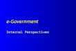E-Government Internal Perspectives. motivation motivation – why do governments adopt an e-orientation – why do departments/senior managers adopt an e-