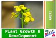 Plant Growth & Development AMSTI. 6. Next Steps/ New Question Science Notebook Components: 1. Question/Problem/Purpose 2. Hypothesis/Prediction 3. Procedure/Planning