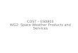 COST – ES0803 WG2: Space Weather Products and Services