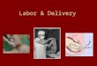 Labor & Delivery. Types of Deliveries 1.Cesarean section: a small incision made in the lower abdomen and uterus where the baby is delivered 2.Natural