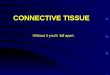 CONNECTIVE TISSUE Without it you’d fall apart.. INTRODUCTION TO CONNECTIVE TISSUE Connective tissue - a tissue, the major constituent of which is Specific