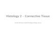 Histology 2 – Connective Tissue Scott.lehbauer@lethbridgecollege.ab.ca