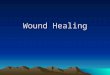 Wound Healing. I.General Considerations Wound healing is a vague term that often confuses and diverts the clinician from focusing on a specific diagnosis