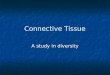 Connective Tissue A study in diversity. Connective Tissue
