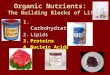 Organic Nutrients: The Building Blocks of Life 1. Carbohydrates 2.Lipids 3.Proteins 4.Nucleic Acids
