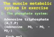 The muscle metabolic system in exercise 1- The phosphate system: Adenosine triphosphate (A.T.P) ( Adenosine PO 3 ~ PO 3 ~ PO 3 -) Each mol.. 7300 calories