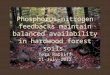Phosphorus-nitrogen feedbacks maintain balanced availability in hardwood forest soils Tera Ratliff 11-July-2012
