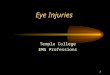 1 Eye Injuries Temple College EMS Professions. 2 Eye Anatomy ScleraChoroid Retina Cornea IrisPupil Lens