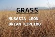 GRASS MUSASIA LEON BRIAN KIPLIMO. HISTORY Thatching methods have traditionally been passed down from generation to generation, and numerous descriptions