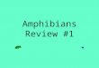 Amphibians Review #1. Membrane that blinks to keep amphibian eyes moist on land and closes to cover the eye when swimming under water. Nictitating membrane