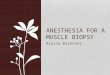 Alyssa Brzenski ANESTHESIA FOR A MUSCLE BIOPSY. Case You are assigned to do an anesthetic for a muscle biopsy. The patient is a 13 month old male toddler