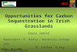 UCC Opportunities for Carbon Sequestration in Irish Grasslands Vesna Jakši ć Supervisors: G. Kiely, University College Cork O. Carton, D.Fay, Johnstown