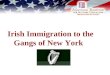 Irish Immigration to the Gangs of New York. What is an Ethnic Group?