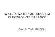WATER, WATER METABOLISM ELECTROLYTE BALANCE Prof. Dr.Yıldız DİNÇER