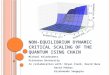 N ON - EQUILIBRIUM DYNAMIC CRITICAL SCALING OF THE QUANTUM I SING CHAIN Michael Kolodrubetz Princeton University In collaboration with: Bryan Clark, David