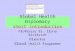 Global Health Diplomacy short introduction Professor Dr. llona Kickbusch Director Global Health Programme