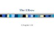 The Elbow Chapter 23. n Bones: composed of 3 bones »- »Articulations: permits »- Elbow Anatomy