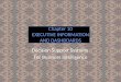 Chapter 10 EXECUTIVE INFORMATION AND DASHBOARDS Decision Support Systems For Business Intelligence