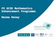 FE GCSE Mathematics Enhancement Programme Norma Honey