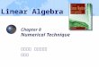 Chapter 8 Numerical Technique 大葉大學 資訊工程系 黃鈴玲 Linear Algebra