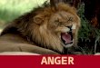 ANGER. Anger  I. What is anger?  II. Is anger a sin?  III. The type of anger  VI. The steps that lead to unjustifiable anger  V. How to overcome