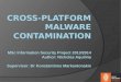 Aims and Objectives of Project  Understand and analyse current malware strategies  Analyse in detail various malware infection vectors and new revenue