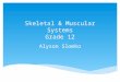 Skeletal & Muscular Systems Grade 12 Alyson Slomko