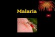 Malaria Alternative names: · Quartan malaria · Falciparum malaria · Blackwater fever · Tertian malaria