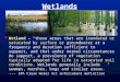 Wetlands  Wetland – “those areas that are inundated or saturated by surface or groundwater at a frequency and duration sufficient to support, and that