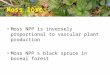 Moss lore Moss NPP is inversely proportional to vascular plant production Moss NPP ≥ black spruce in boreal forest