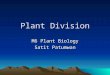 Plant Division M6 Plant Biology Satit Patumwan. Plant Kingdom You will remember from M4 Genetics that the plant kingdom is not divided into phylum but