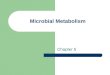 Microbial Metabolism Chapter 5. Metabolism Metabolism - all of the chemical reactions within a living organism 1. Catabolism ( Catabolic ) – breakdown