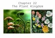 Chapter 22 The Plant Kingdom. Plants What are plants? Eukaryotic, multicellular organisms that have chlorophyll and carry out photosynthesis For the most