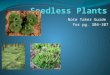 Note Taker Guide for pg. 304-307. Non Vascular Plant Moss Liverworts Hornworts